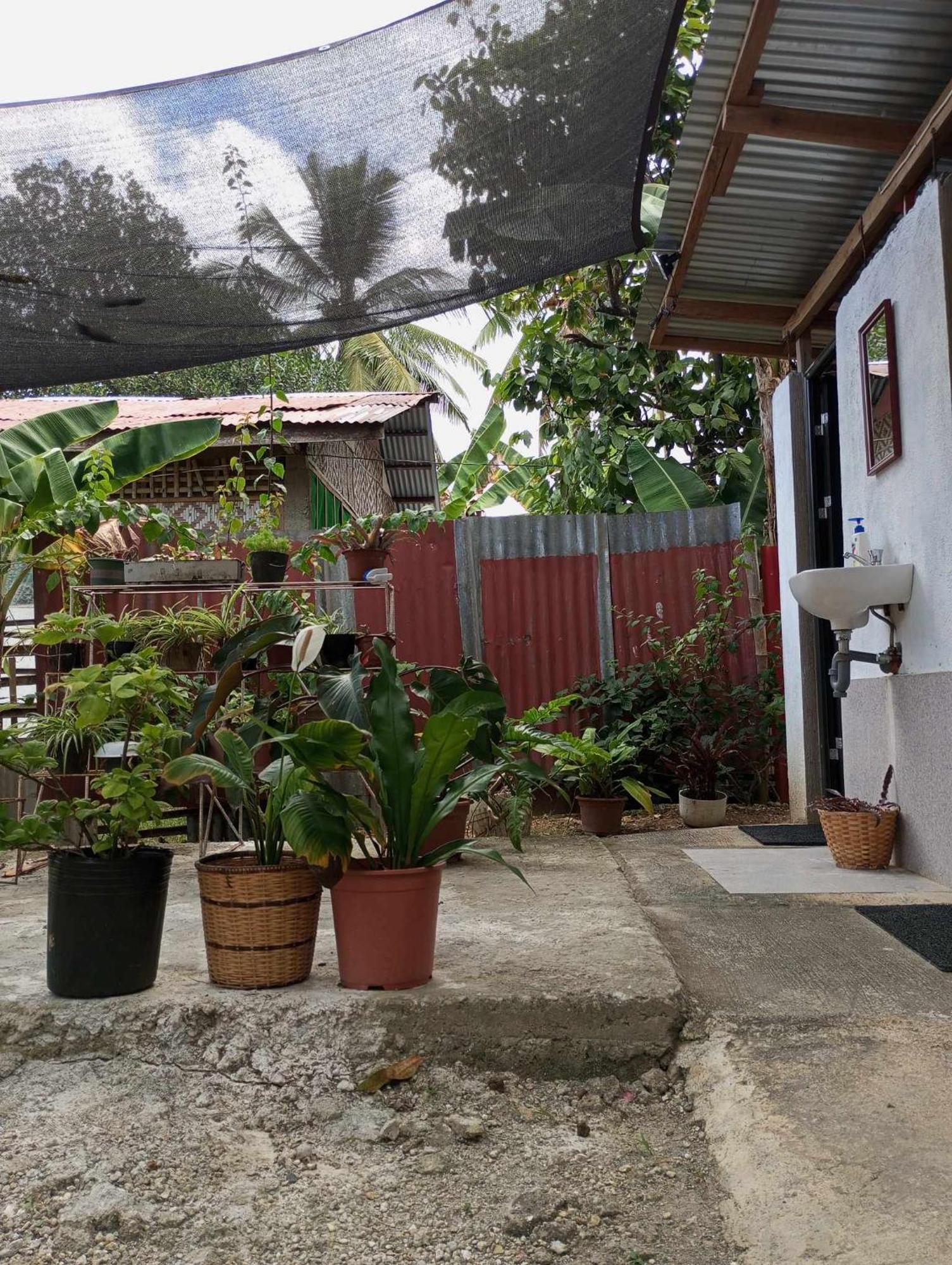 Lagkaw Uno In Lagkaw Homestay Panglao Eksteriør billede