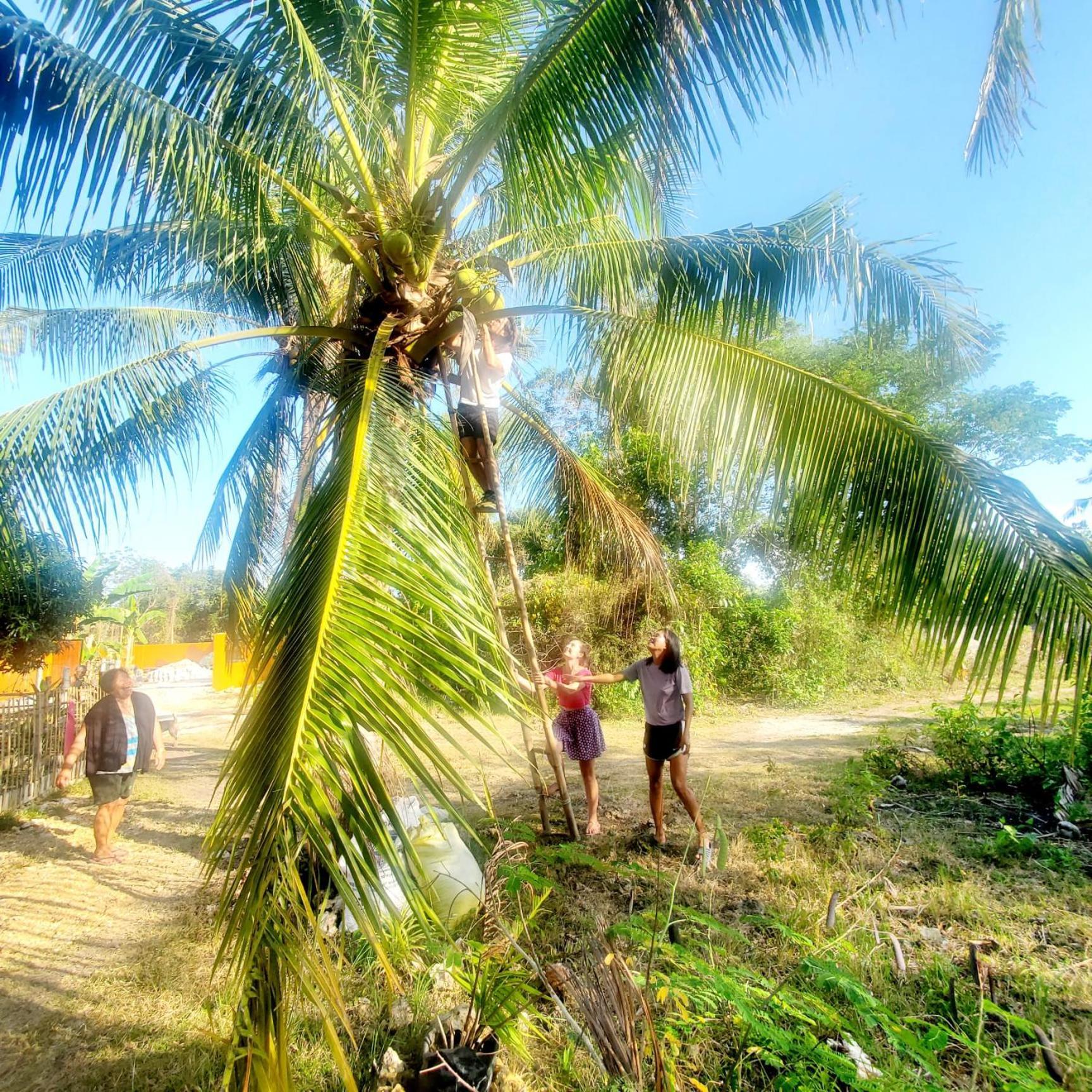 Lagkaw Uno In Lagkaw Homestay Panglao Eksteriør billede