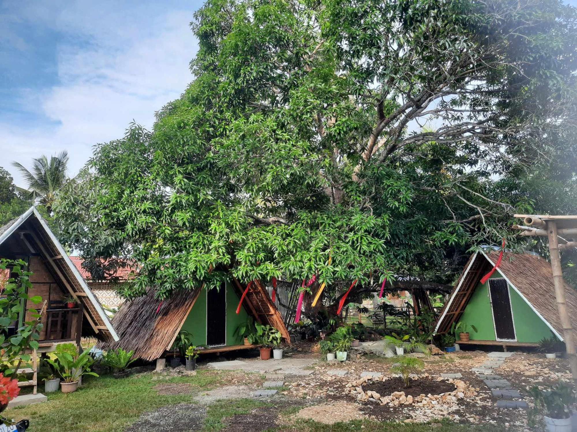 Lagkaw Uno In Lagkaw Homestay Panglao Eksteriør billede