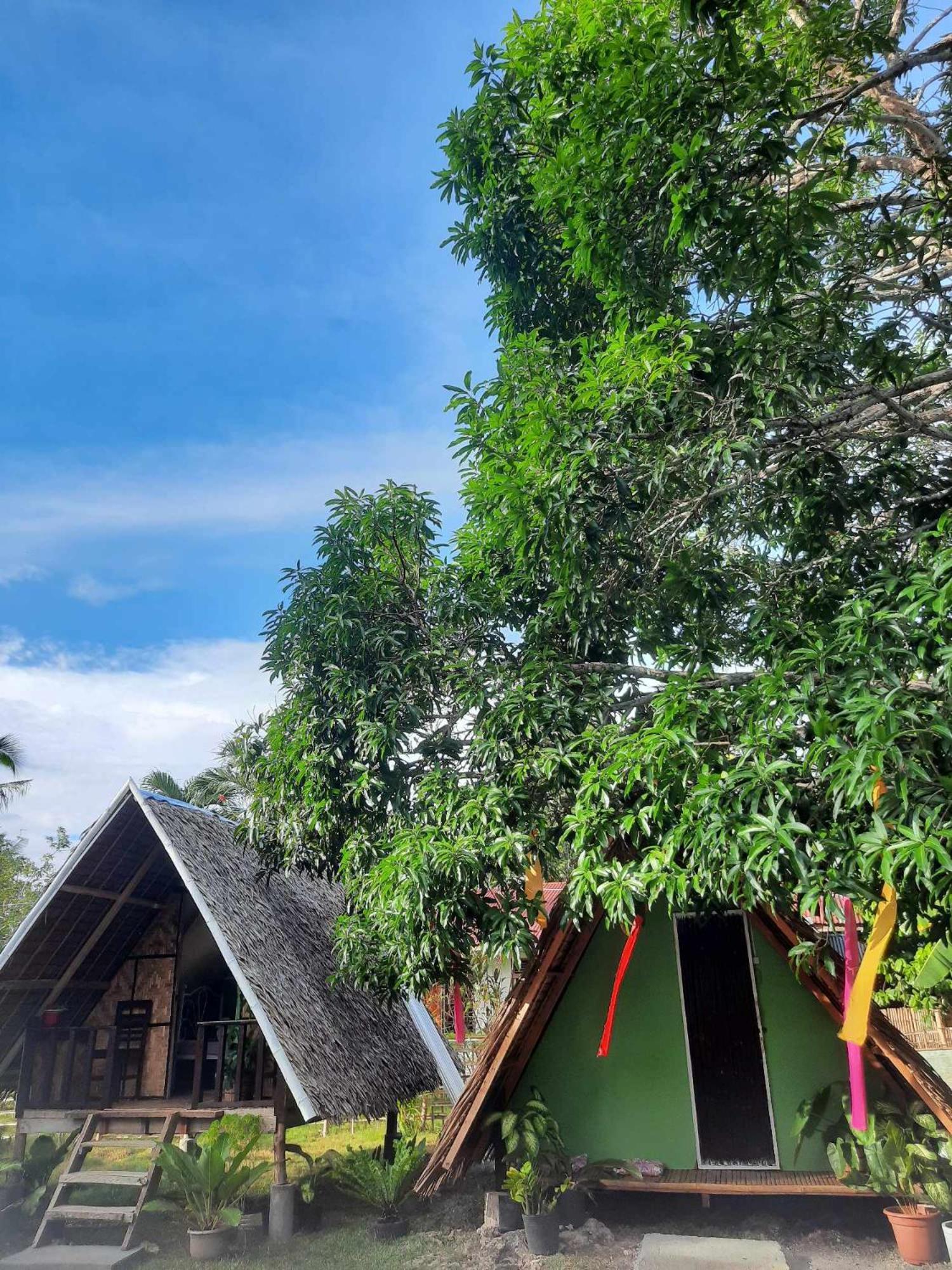 Lagkaw Uno In Lagkaw Homestay Panglao Eksteriør billede