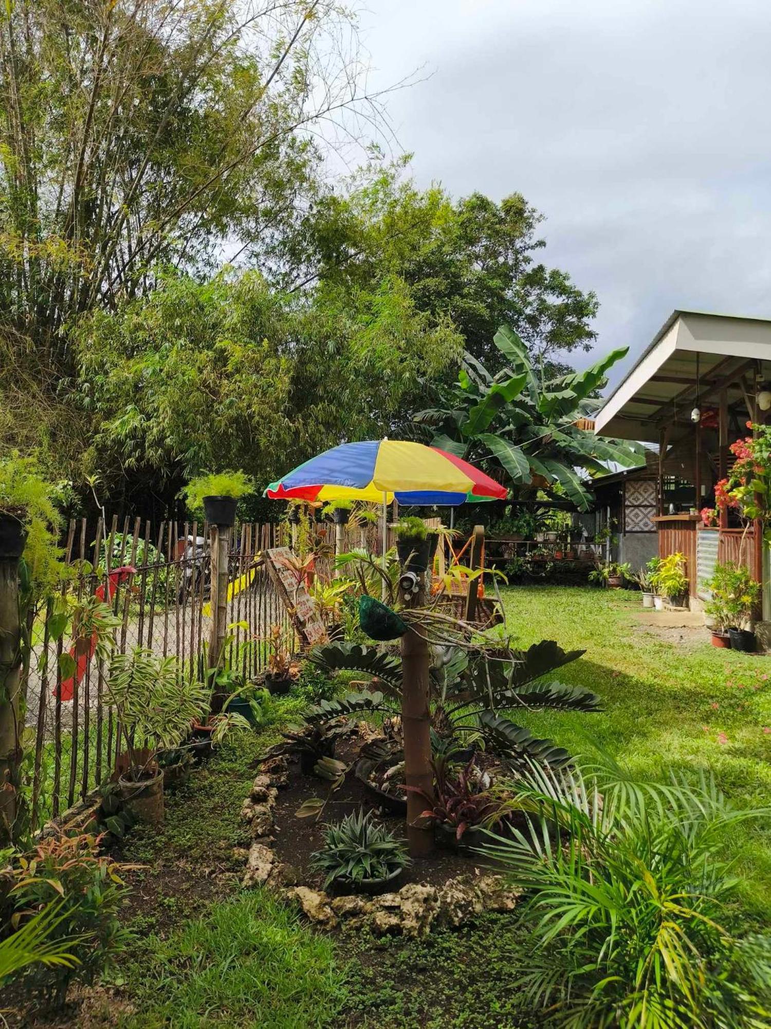 Lagkaw Uno In Lagkaw Homestay Panglao Eksteriør billede