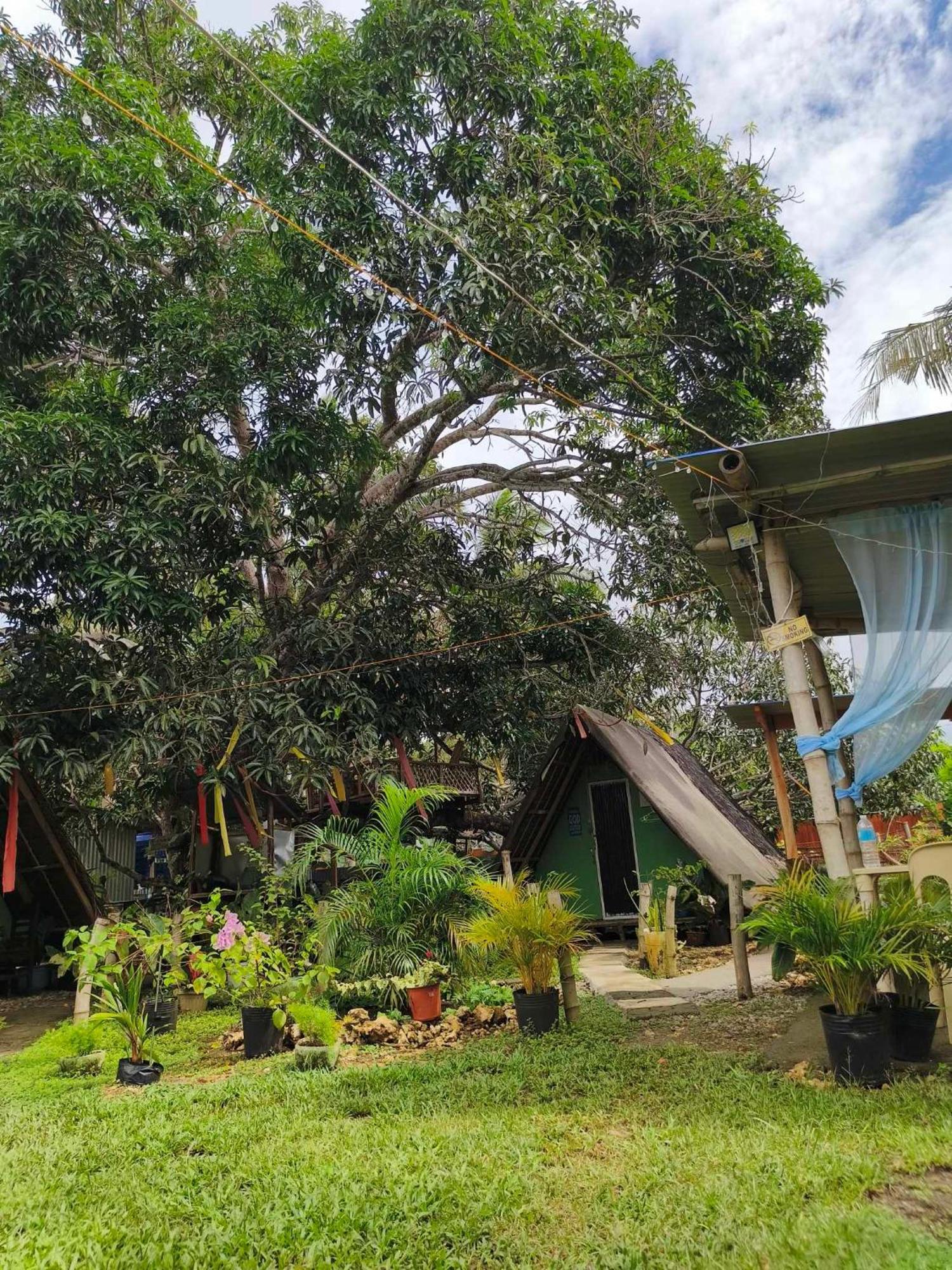 Lagkaw Uno In Lagkaw Homestay Panglao Eksteriør billede